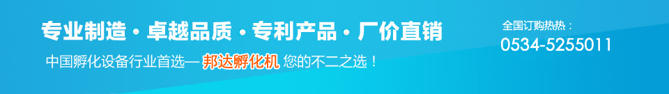 邦达孵化机--行业首选