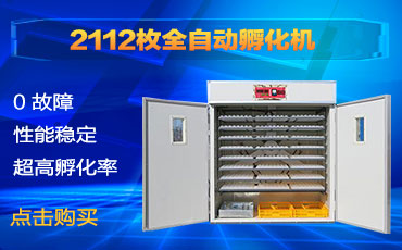【邦达】2112枚孵化机