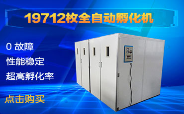 邦达孵化机