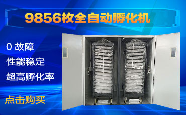 9856枚孵化机