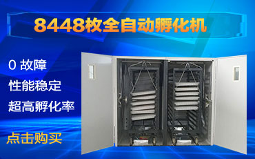 【邦达】8448枚大中型全自动孵化机