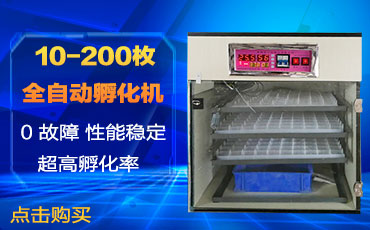 小型孵化机