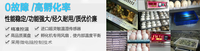 邦达孵化设备