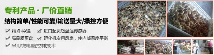邦达孵化设备
